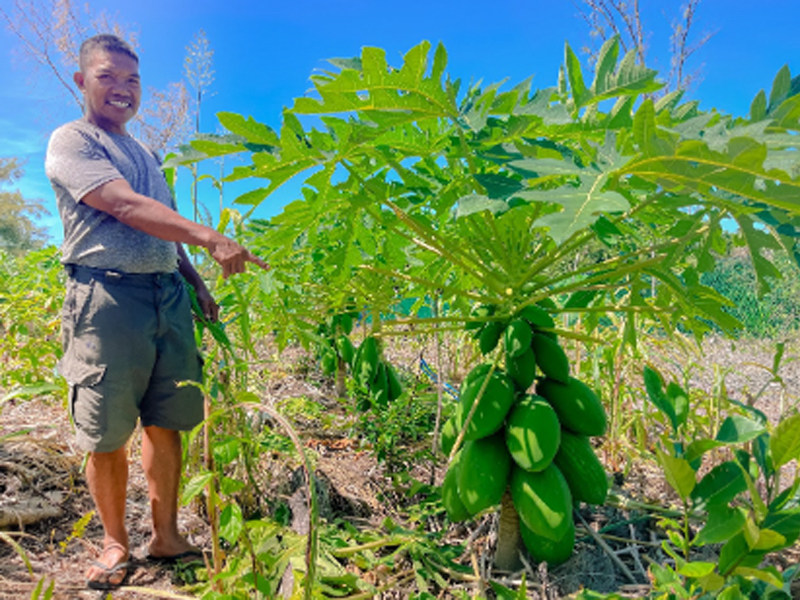 Rota Farmer First to Test Commercial Regenerative Ag Methods 